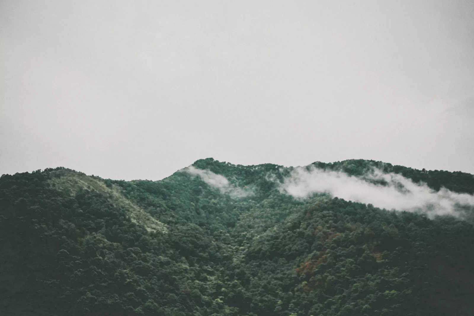 Banner 2